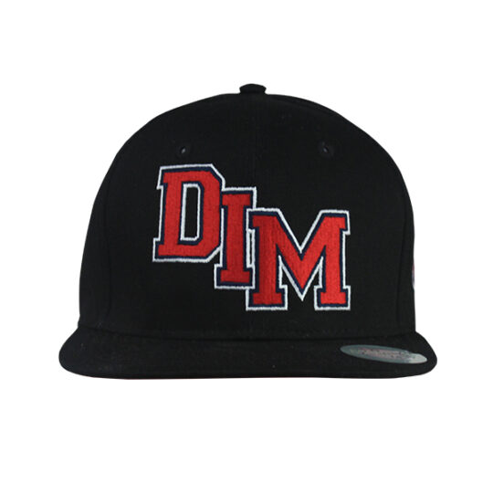 GORRA PLANA DIM