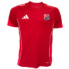 camiseta entrenamiento 2025